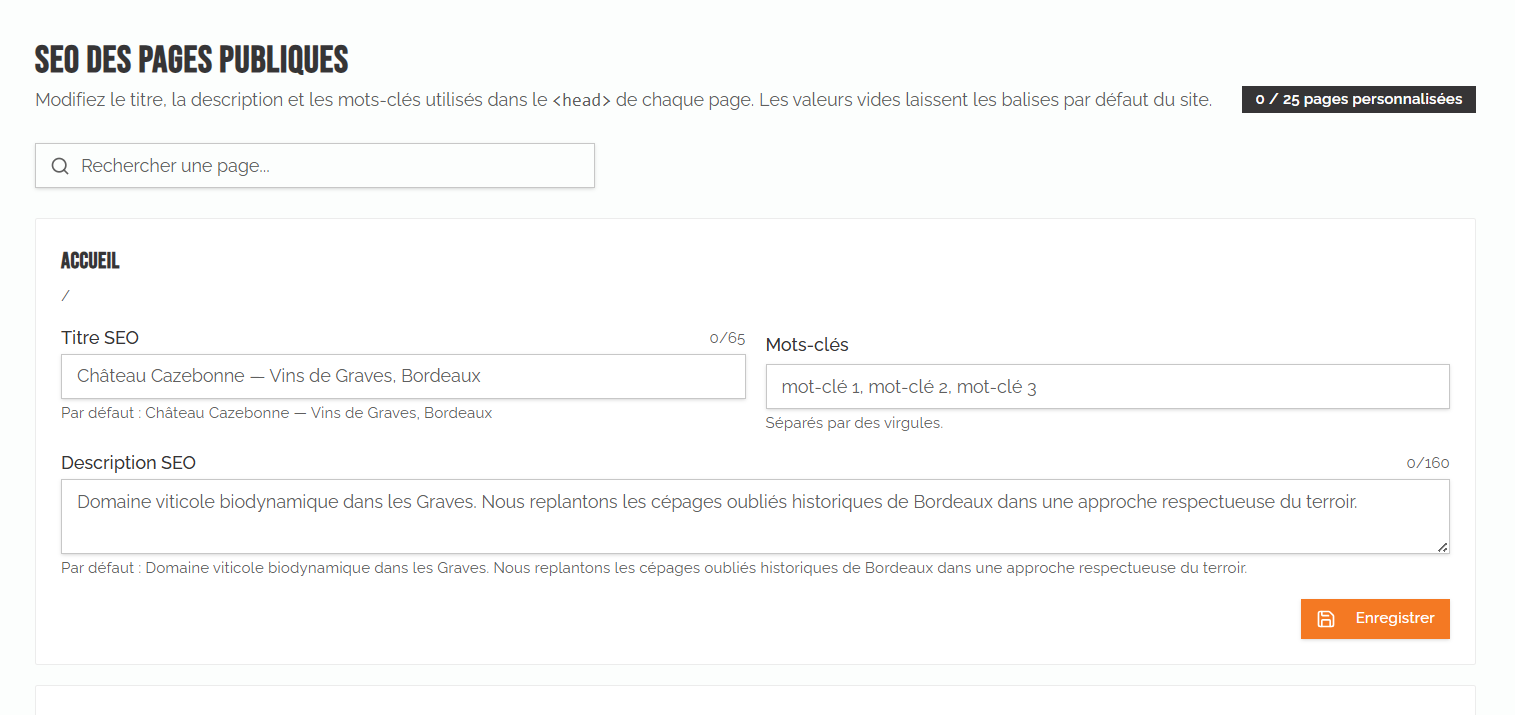 Une infrastructure SEO / délivrabilité de niveau média — Optimisations SEO pages