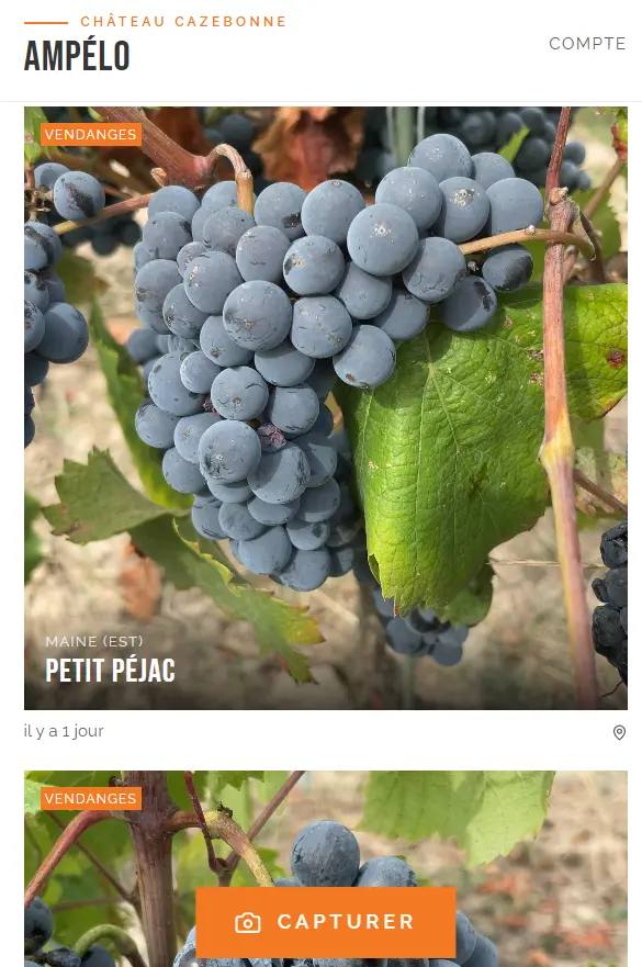 Ampelo — mobile vineyard log: photo records, GPS, and voice dictation — Château Cazebonne 2
