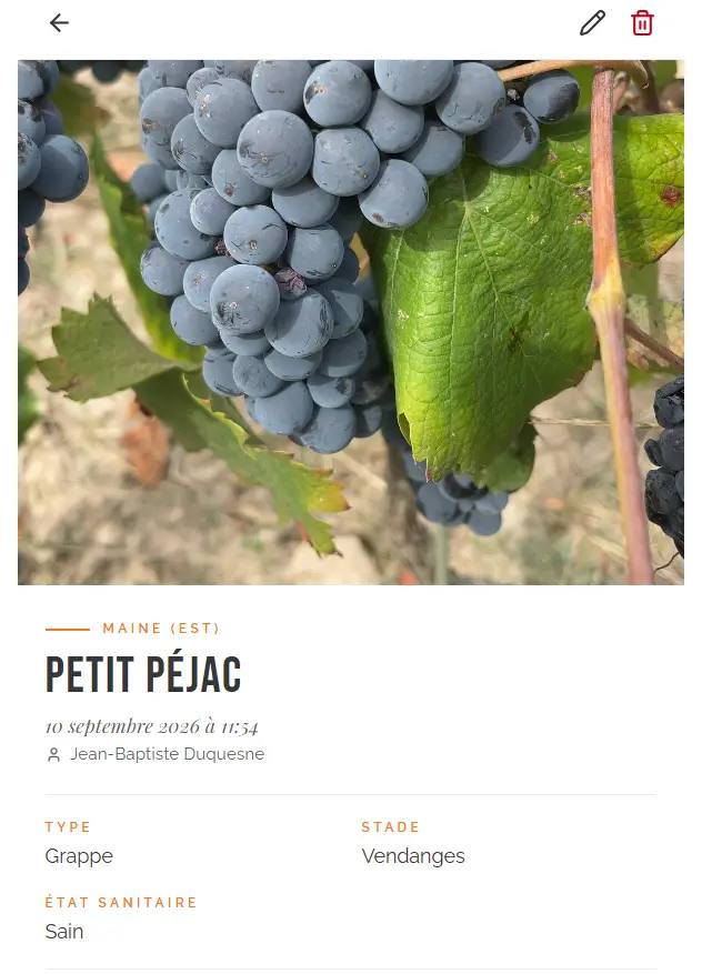 Ampelo — carnet de vignes mobile : relevés photo, GPS et dictée vocale — Château Cazebonne 1